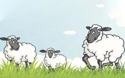 羊群效应优缺点